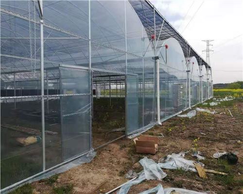 在建玻璃溫室大棚